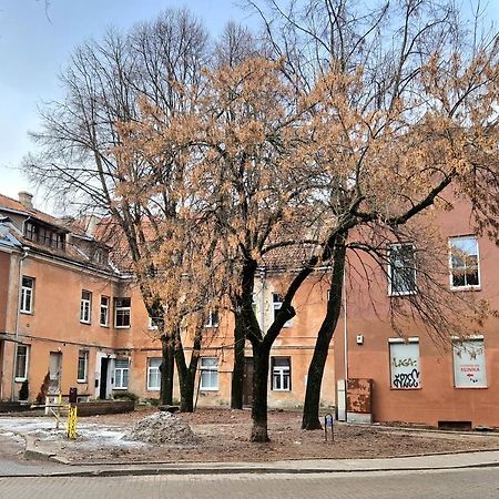 Cozy Studio In Heart Of Old Town VNO Exterior foto